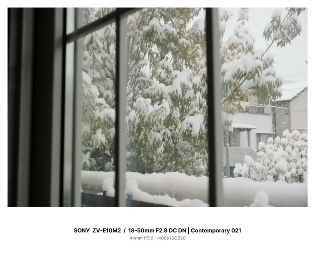 室内からの雪景色