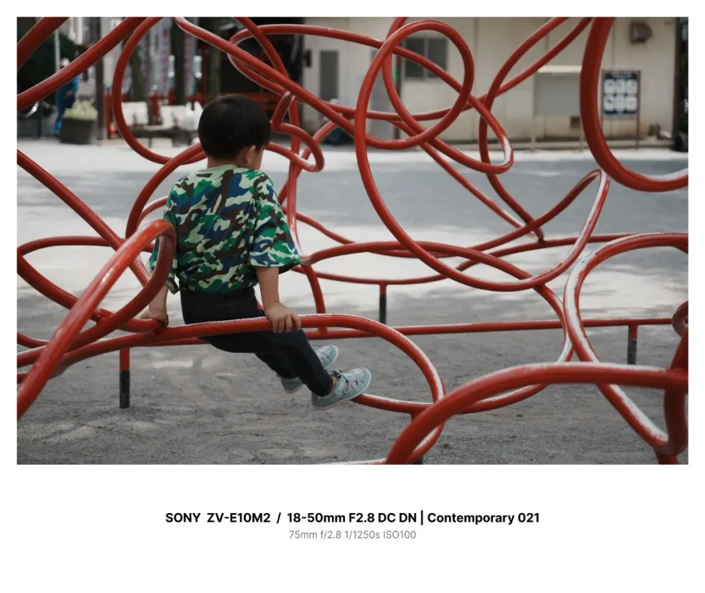 変なジャングルジム